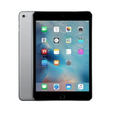 iPad mini 4 - 7.9 inch space gray